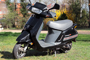 Le SV en 2012